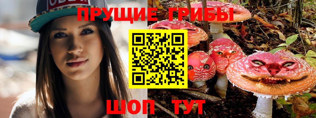 Галлюциногенные грибы мухоморы  Псилоцибиновые грибы MAGIC MUSHROOMS  Вход с VPN  Майкоп 